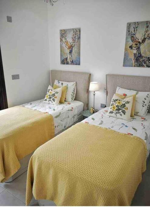 Bahia Homes Torrevieja Eksteriør billede